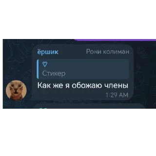 👍 emoji Даша путешественница Telegram sticker 18 of 19