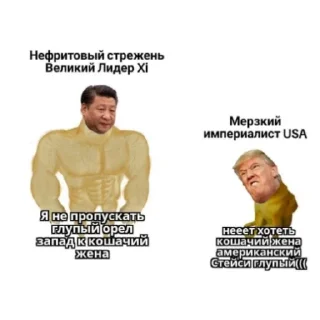 😂 emoji Социальный кредит партия Китай Нефритовый Стержень Великий Xi Telegram sticker 23 of 23
