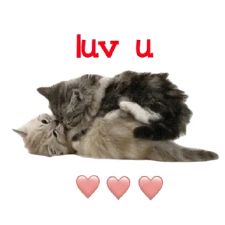 Kitty_of_the_better sticker 1
