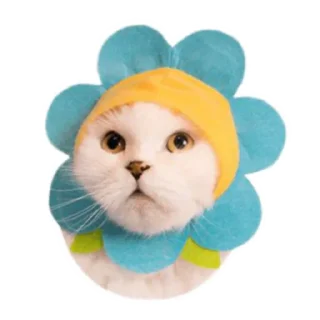 Kitty_of_the_better sticker 2