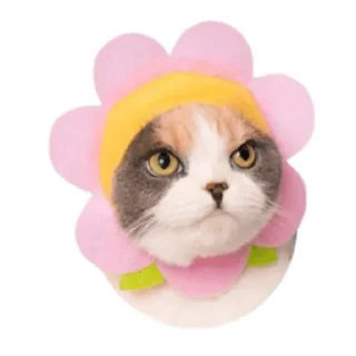 Kitty_of_the_better sticker 4