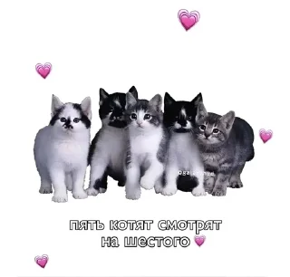 Sticker from Люблю Александра