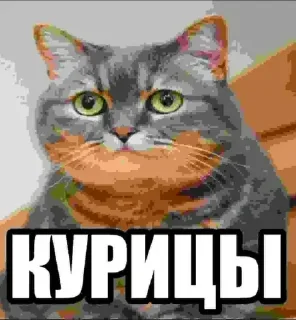 😏 emoji рыбыыыыыыыы ➡️ @Ctikerubot Telegram sticker 5 of 10