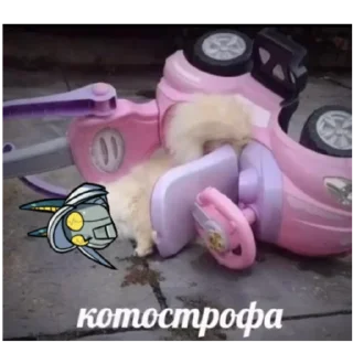 💀 emoji Биб-боб мяу~ Telegram sticker 12 of 81