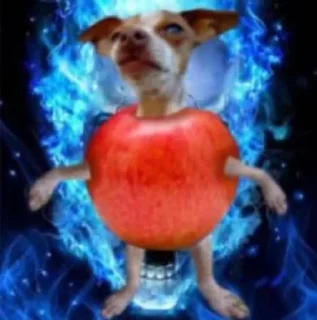 🌟 emoji Филька🐶 Telegram sticker 9 of 33