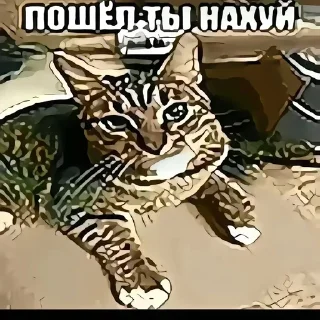 Sticker from [1]смехуятина от @arbuz_krutoi
