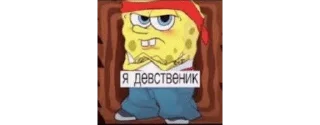 Sticker from самые смешные мемы