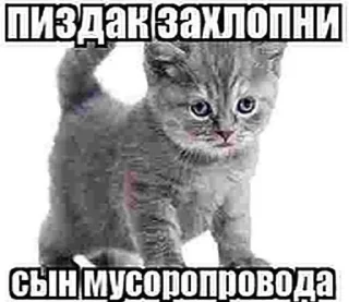 🖕 emoji расскажи как дрчть и мечтать Telegram sticker 24 of 120