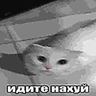 🖕 emoji расскажи как дрчть и мечтать Telegram sticker 23 of 120