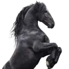 🤩 emoji кариночка & @vlinsight @TgEmodziBot Telegram sticker 12 of 70