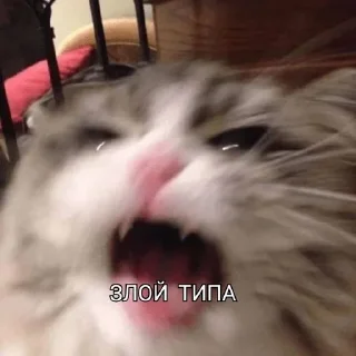 😡 emoji Я хз название. Telegram sticker 9 of 10