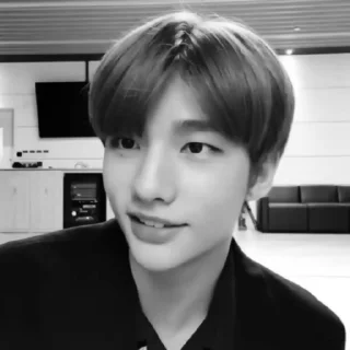 😂 emoji hyunjin @glstarch @Ctikerubot Telegram sticker 9 of 29
