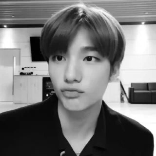 😂 emoji hyunjin @glstarch @Ctikerubot Telegram sticker 20 of 29