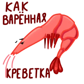 Sticker from Shrimp @stickersb2b
