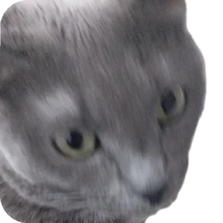 Sticker from Пачка соли от @alidorl