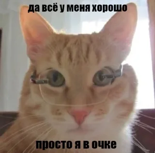 говно sticker 1
