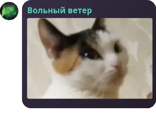 🌟 emoji Шаранутый Уголок | Шаранутый к pack by @QuotLyBot Telegram sticker 9 of 120