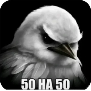 Sticker from Лучшее