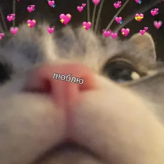 ❤️ emoji мои Telegram sticker 24 of 34