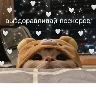💗 emoji мои Telegram sticker 21 of 34