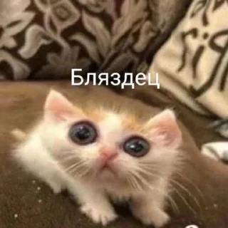 🙄 emoji мои Telegram sticker 13 of 34