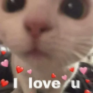 ❤️ emoji мои Telegram sticker 23 of 34