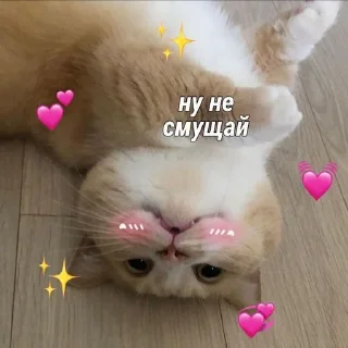 🥺 emoji мои Telegram sticker 20 of 34