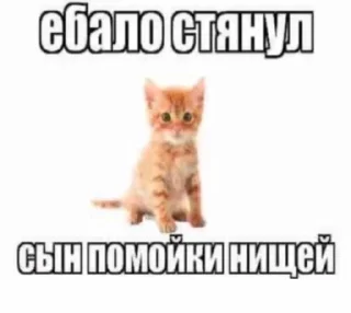 Sticker from чурка
