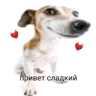 Sticker from чурка