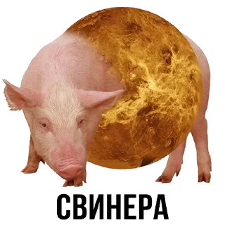 Sticker from Колбасуля • @StickEmojiBook