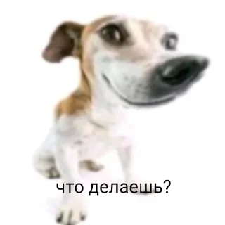 Sticker from чурка