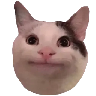 🙂 emoji qwerty Telegram sticker 7 of 11
