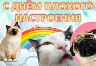 Sticker from Тяжести русской культуры