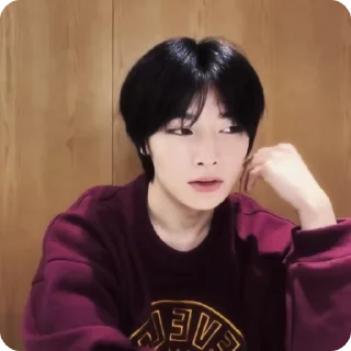 🍓 emoji #1.1 jeongin        @arhvgrs Telegram sticker 22 of 37