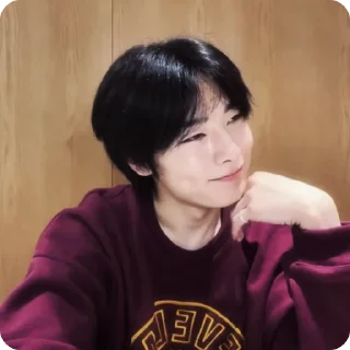 🍓 emoji #1.1 jeongin        @arhvgrs Telegram sticker 12 of 37