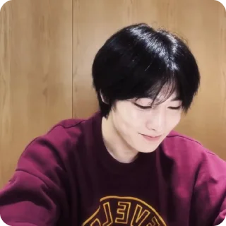 🍓 emoji #1.1 jeongin        @arhvgrs Telegram sticker 18 of 37