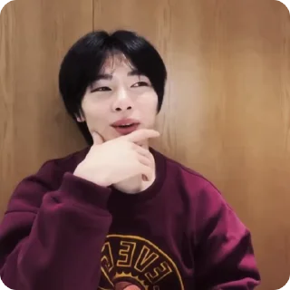🍓 emoji #1.1 jeongin        @arhvgrs Telegram sticker 16 of 37