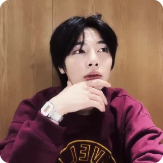 🍓 emoji #1.1 jeongin        @arhvgrs Telegram sticker 4 of 37