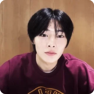 🍓 emoji #1.1 jeongin        @arhvgrs Telegram sticker 1 of 37