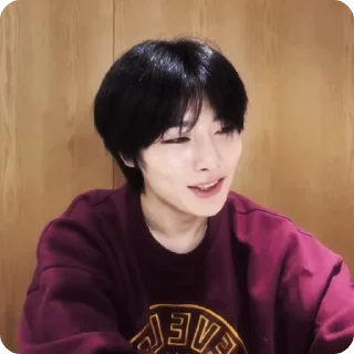 🍓 emoji #1.1 jeongin        @arhvgrs Telegram sticker 21 of 37