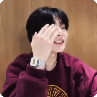 🍓 emoji #1.1 jeongin        @arhvgrs Telegram sticker 7 of 37