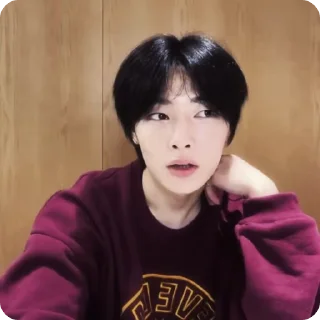 🍓 emoji #1.1 jeongin        @arhvgrs Telegram sticker 13 of 37