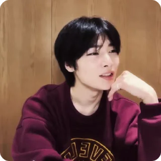 🍓 emoji #1.1 jeongin        @arhvgrs Telegram sticker 20 of 37