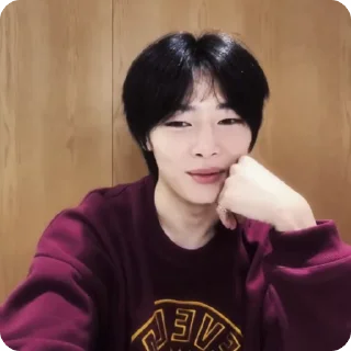 🍓 emoji #1.1 jeongin        @arhvgrs Telegram sticker 11 of 37