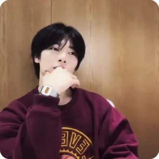 🍓 emoji #1.1 jeongin        @arhvgrs Telegram sticker 24 of 37
