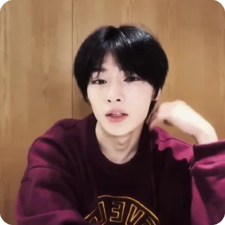 🍓 emoji #1.1 jeongin        @arhvgrs Telegram sticker 19 of 37