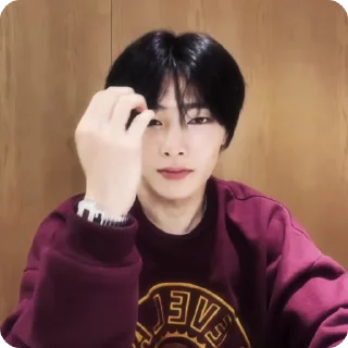 🍓 emoji #1.1 jeongin        @arhvgrs Telegram sticker 2 of 37