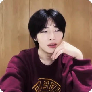🍓 emoji #1.1 jeongin        @arhvgrs Telegram sticker 14 of 37