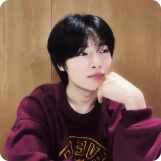 🍓 emoji #1.1 jeongin        @arhvgrs Telegram sticker 8 of 37