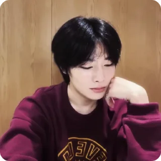 🍓 emoji #1.1 jeongin        @arhvgrs Telegram sticker 15 of 37